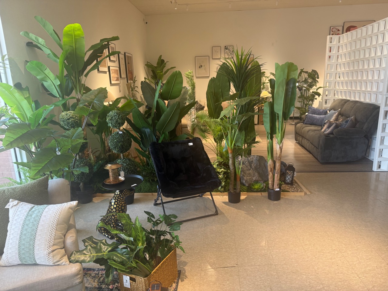 Plant-filled home lifestyle corner